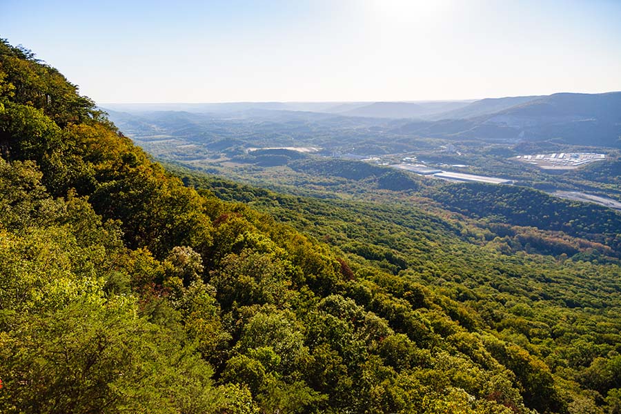 About Our Agency - View of Lookout Mountain and Surrounding Landscape Full of Green Trees in the Summer